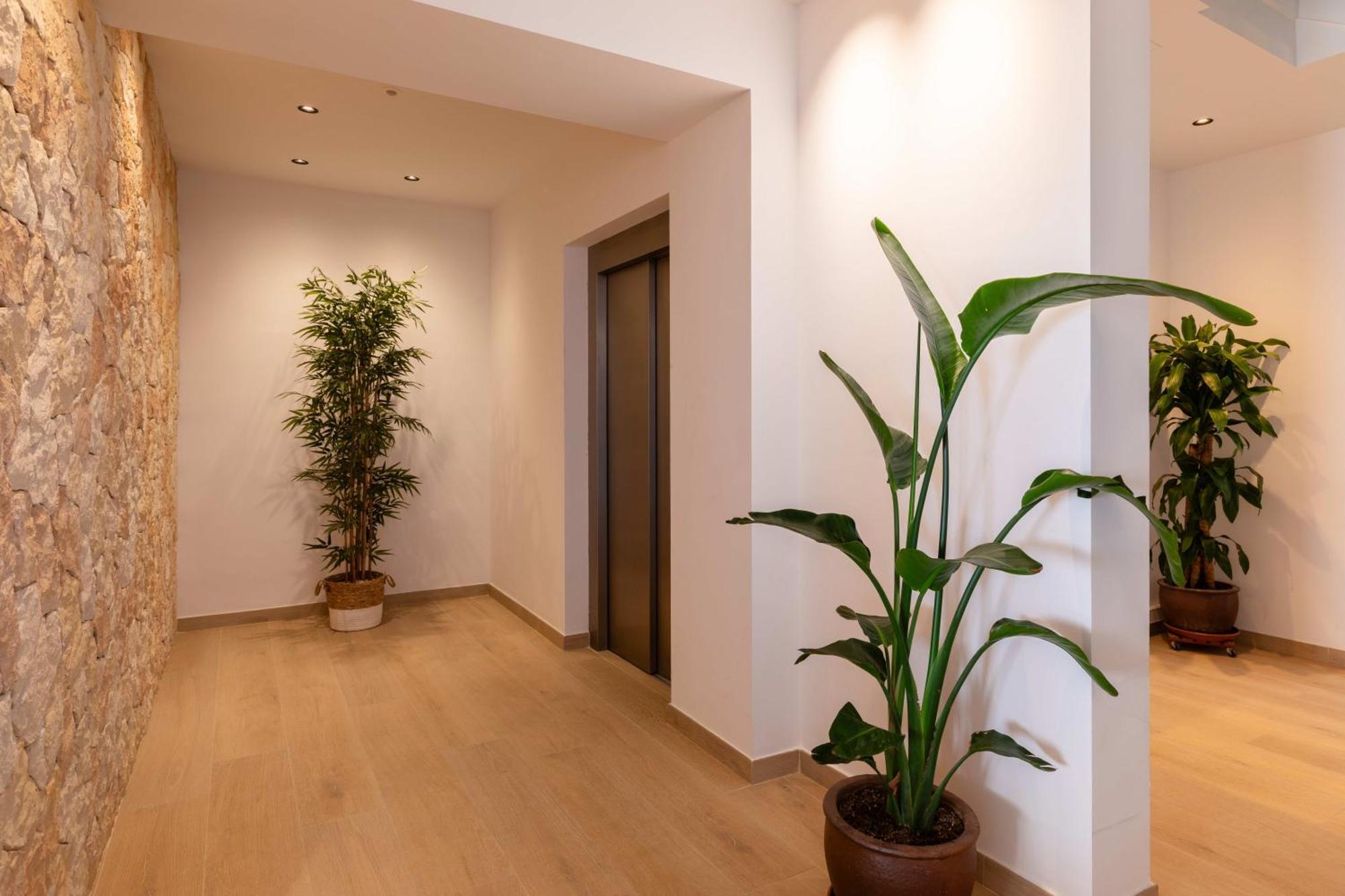 Hostal Mari San Antonio  Ngoại thất bức ảnh